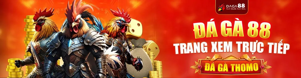 Đá gà trực tuyến đỉnh cao tại TF88
